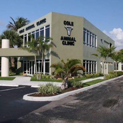 001_IMG_3929_2-1200x750 001_IMG_3929_2-1200x750